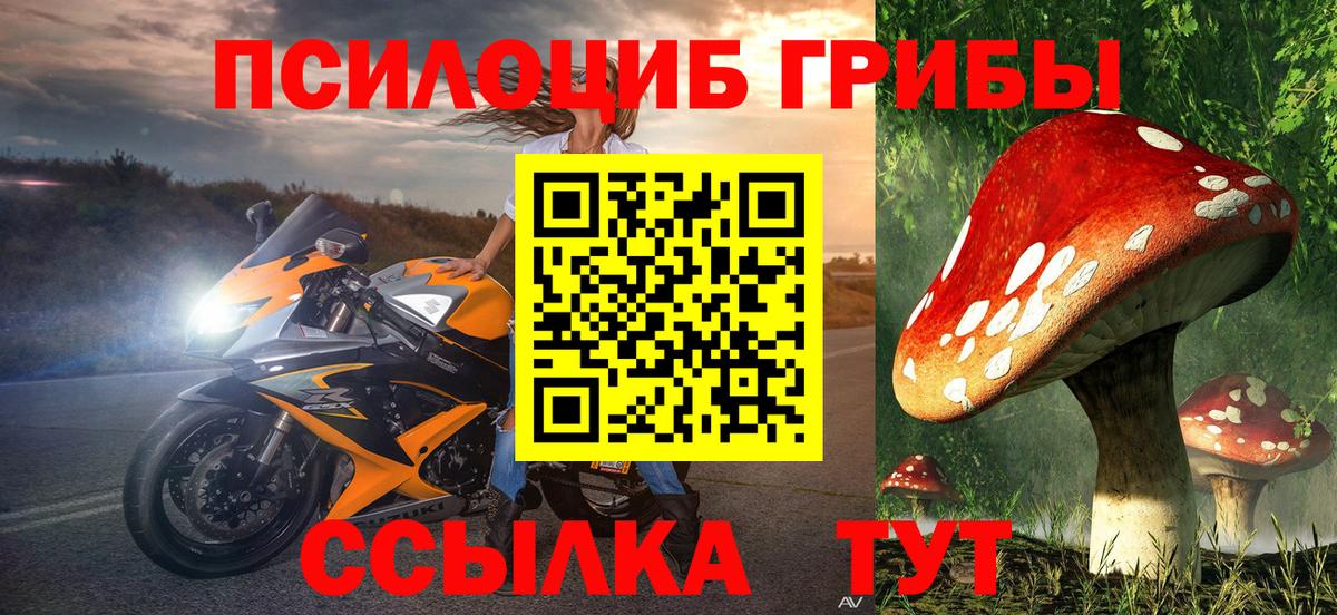 Саратов  Псилоцибиновые грибы мухоморы  Вход с VPN 
